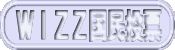 WIZZ国民投票